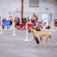 _VDS4741