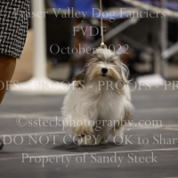 _VDS3129
