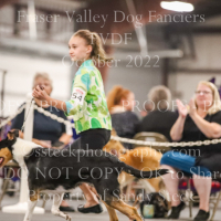 FVDS2552