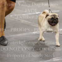 _VDS7464