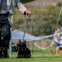 _KC_0704