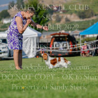 _KC_9820