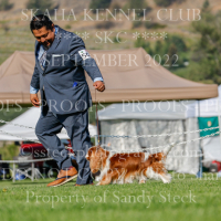 _KC_9945