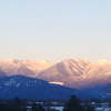 Fraser Valley Kennel Club
